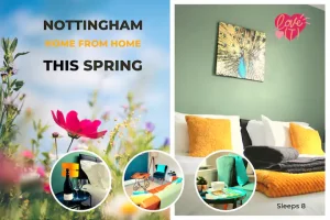 1b5d5e57-8166-4575-b8ea-406ce1e41f9b